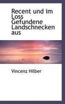 Recent Und Im Loss Gefundene Landschnecken Aus