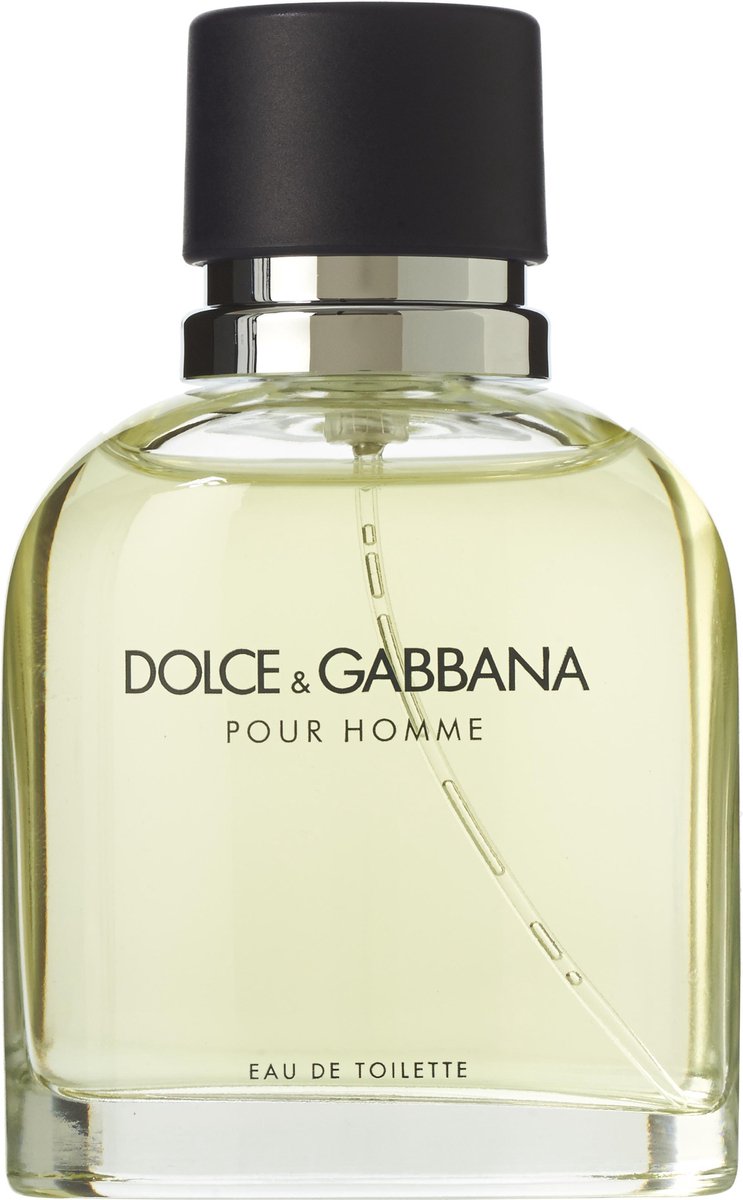Dolce & Gabbana pour Homme - 75 ml - eau de toilette spray - herenparfum