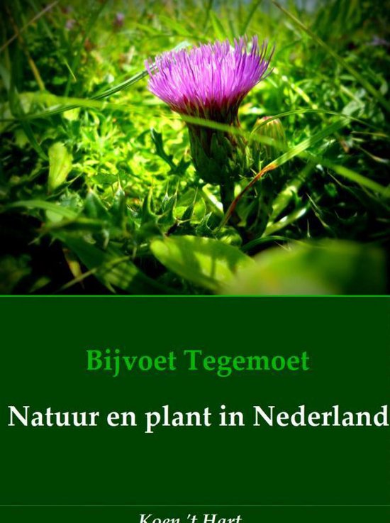 Cover van het boek 'Bijvoet tegemoet natuur en plant in Nederland'