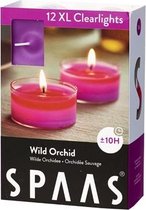 Spaas XL Clearlights Geparfumeerde Waxinelichtjes - Wild Orchid - 12 Stuks