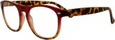 Icon Eyewear QCR002 Luciano Leesbril +2.50 - Helder rood, Tortoise