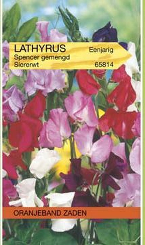 Oranjebandzaden -  Lathyrus, Reuk- of siererwt Spencer gemengd