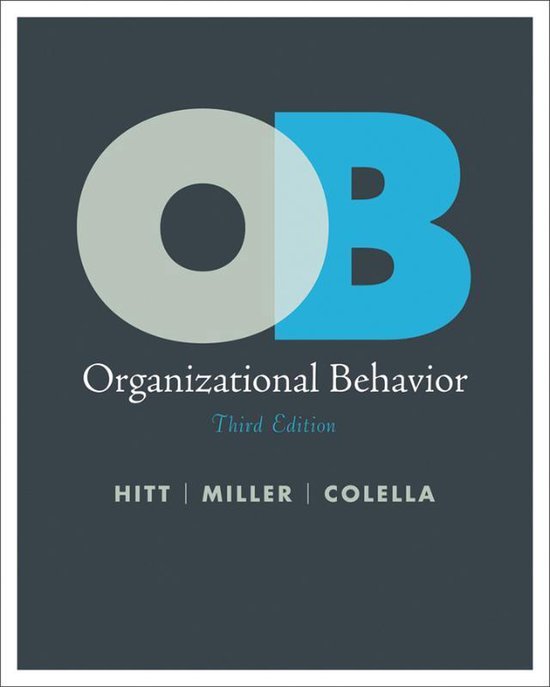 Organizational Behavior a Strategic Approach 3E