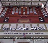 Sandtner-orgel Eichenzell 2009