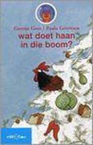 Wat doet haan in die boom?