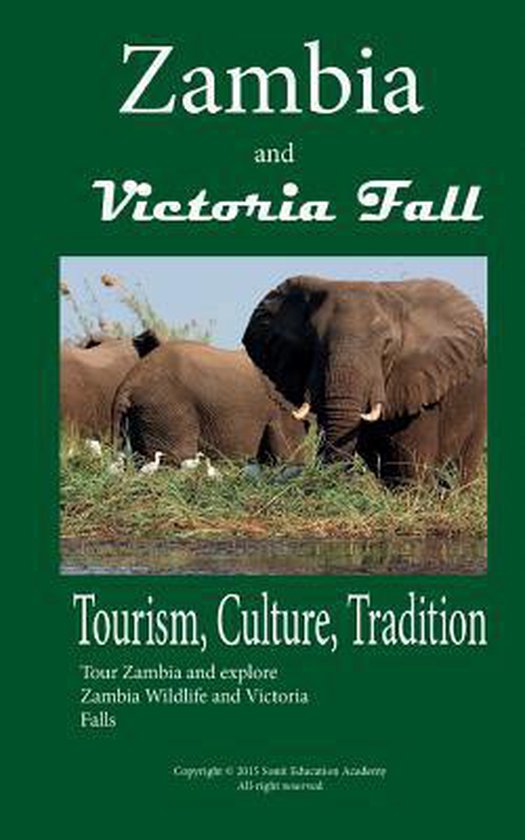 literature review on tourism in zambia