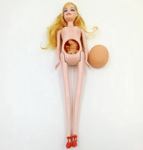 Pop met baby - zwangere barbie | bol.com