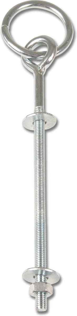 Waldhausen Vastzetring Met Draadeind 25x\xd86.5 cm Chroom Metaal