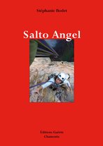 Salto Angel