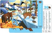 Placemat 36 Ice Age