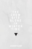 The crow sits alone in winter time
