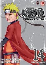 Naruto Shippuden: V14