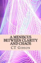 A Meniscus Between Clarity and Chaos