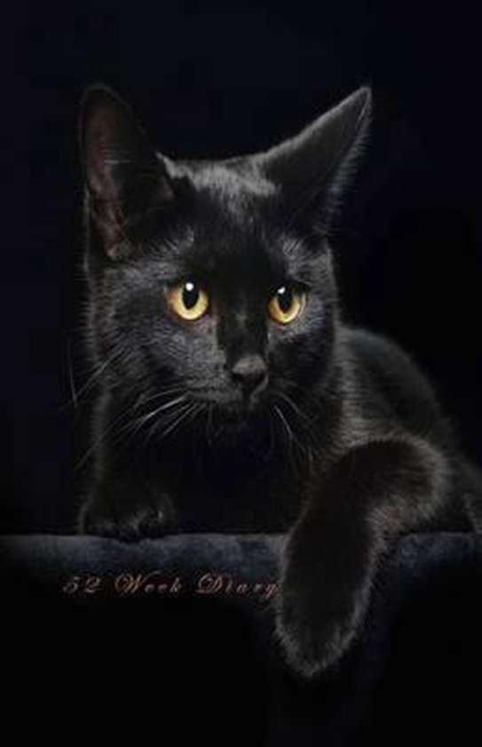 52 Week Diary, Snapping Turtle Books 9781503328372 Boeken