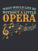 What Would Life Be Without a Little Opera
