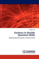 Excitons in Double Quantum Wells