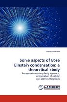 Some Aspects of Bose Einstein Condensation