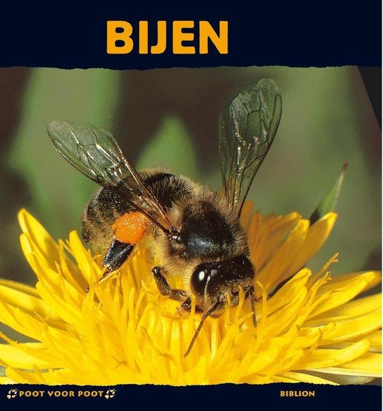 Cover van het boek 'Bijen' van Paul Starosta