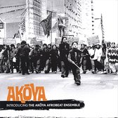 Introducing the Akoya Afrobeat Ensemble