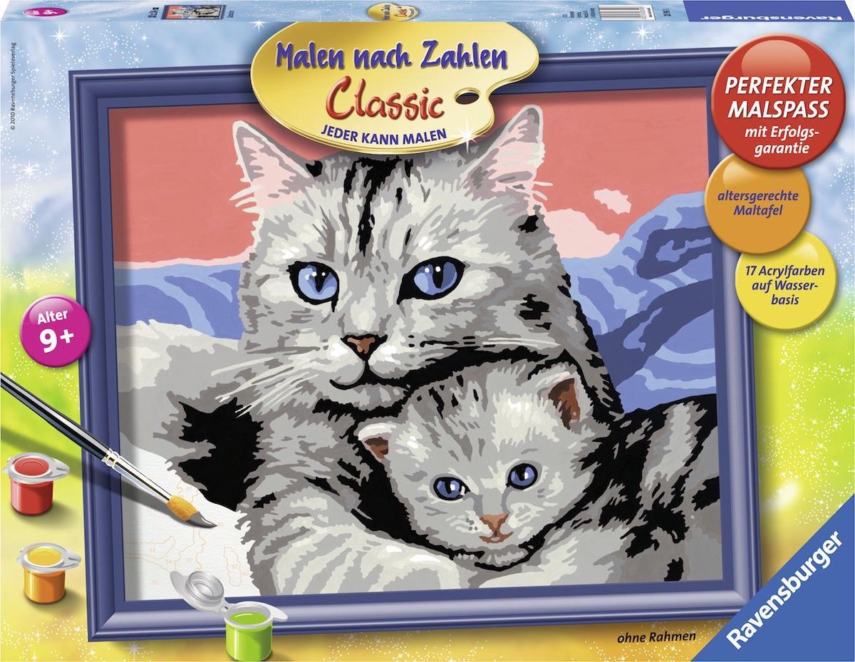 Schilderen Op Nummer Van Ravensburger