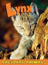 Lynx