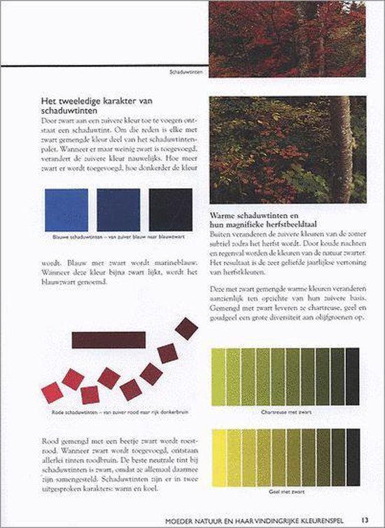 Kleurgebruik Voor Quilters