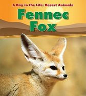 Fennec Fox (A Day in the Life