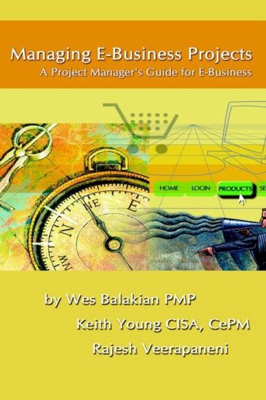 Managing E-Business Projects - cover