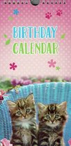 Poezen / Kittens Verjaardagskalender + Postkaarten (16x34cm) - Omslagkalender / verjaardagen kalender