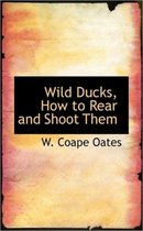 Wild Ducks, How to Rear and Shoot Them