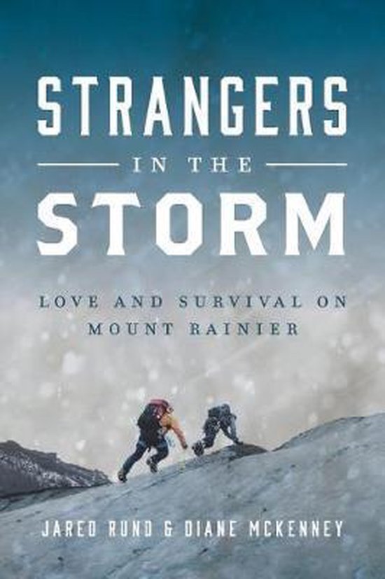 Strangers In The Storm - cover