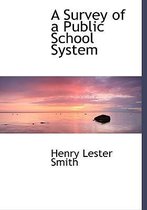 A Survey of a Public School System