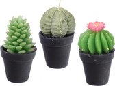 Set van 3 kaarsen cactussen in pot