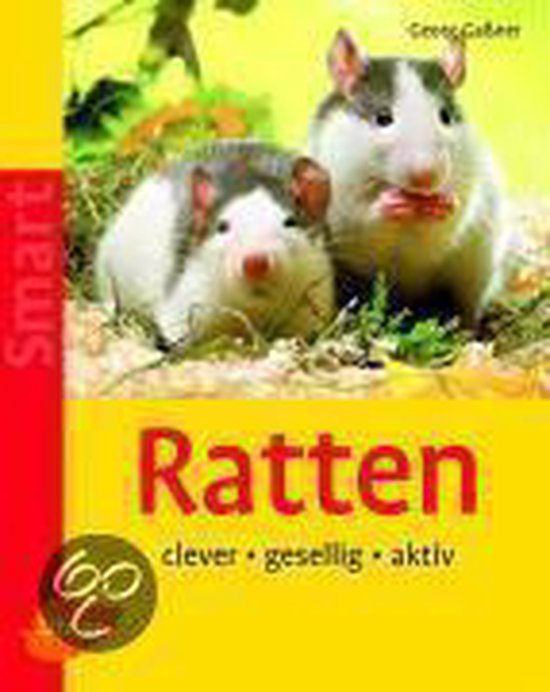 Boek met de titel "Ratten" en twee ratten, waarvan één een stukje eten vasthoudt.