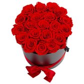 Flowerbox Longlife Aisha rood