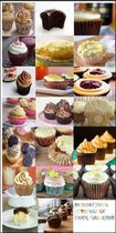20 MUST HAVE CUPCAKES IN YOUR BAKE SHOP