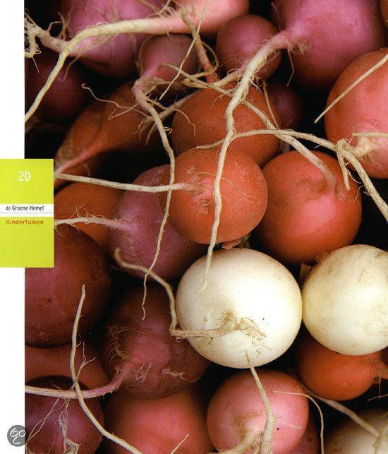 De Groene Hemel + DVD