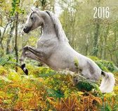 Faszination 2016 Kalender