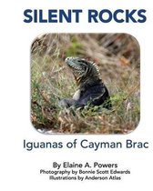 Silent Rocks