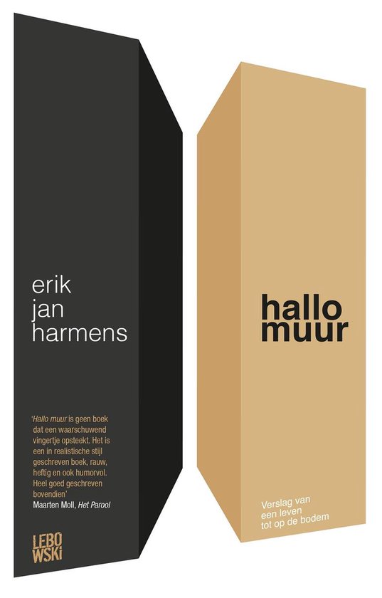 Boek: Hallo, muur, geschreven door Erik Jan Harmens