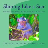 Shining Like a Star
