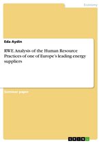 RWE. Analysis of the Human Resource Practices of one of Europe's leading energy suppliers
