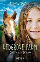 Redgrove Farm 02 - Das neue Fohlen