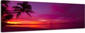 Palmboom violet - Canvas Schilderij Panorama 158 x 46 cm