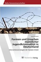 Formen und Ursachen männlicher Jugendkriminalität in Deutschland