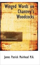 Winged Words on Chantrey's Woodcocks