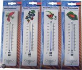 Thermometer Met Kikkerdecoratie