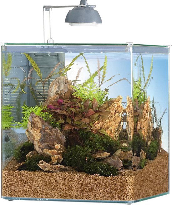 Faeröer bovenstaand enz Eheim Aqua Style - Aquarium - 35 liter - Transparant | bol.com