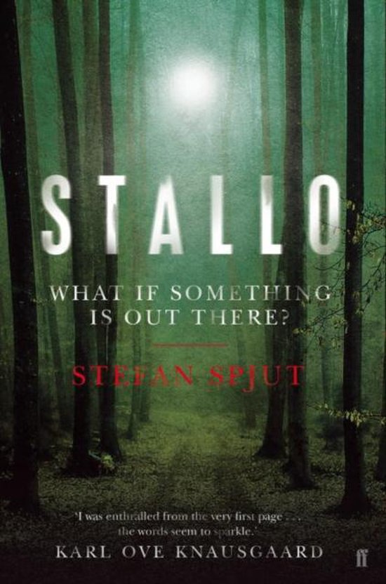 Stallo - cover