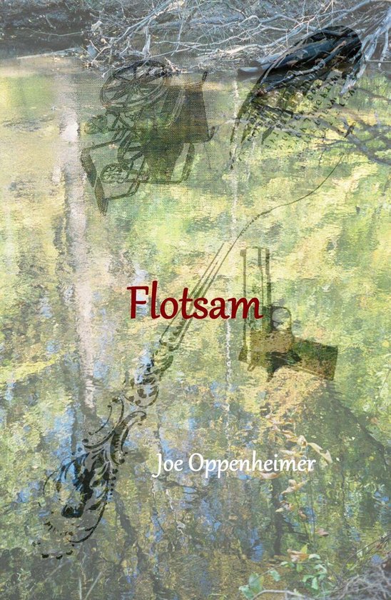 Flotsam (ebook), Joe Oppenheimer 1230003245231 Boeken